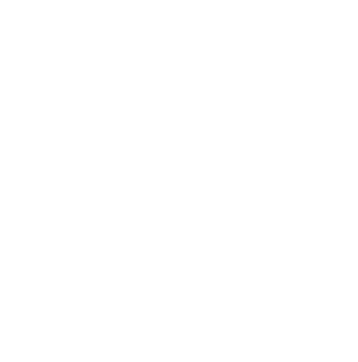 logo SNAT